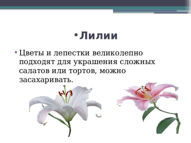 Лилии Цветы и лепестки великолепно подходят для украшения сложных салатов или тортов, можно засахаривать. 