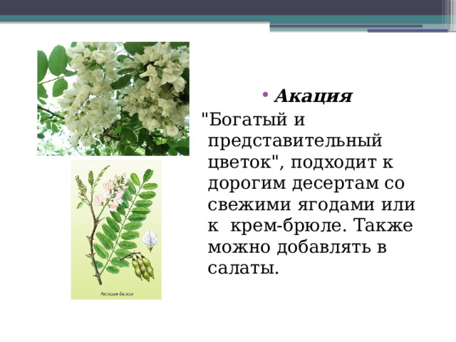 Акация  