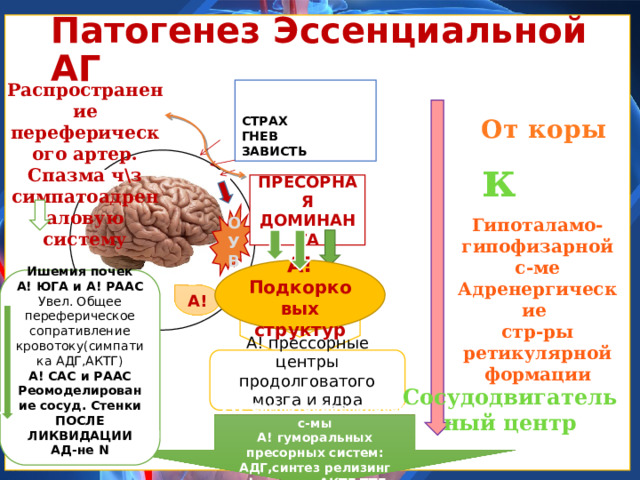 Патогенез Эссенциальной АГ Распространение переферического артер. Спазма ч\з симпатоадреналовую систему ЗАСТОЙНОСТЬ ОТРИЦ. ЭМОЦИЙ СТРАХ ГНЕВ ЗАВИСТЬ От коры к ПРЕСОРНАЯ ДОМИНАНТА ОУВ Гипоталамо-гипофизарной с-ме Адренергические стр-ры ретикулярной формации А! Подкорковых структур Ишемия почек А! ЮГА и А! РААС Увел. Общее переферическое сопративление кровотоку(симпатика АДГ,АКТГ) А! САС и РААС Реомоделирование сосуд. Стенки ПОСЛЕ ЛИКВИДАЦИИ АД-не N А! А! прессорные центры продолговатого мозга и ядра гипоталамуса Сосудодвигательный центр А! Симпатоадреналовой с-мы А! гуморальных пресорных систем: АДГ,синтез релизинг факторов АКТГ,ТТГ 