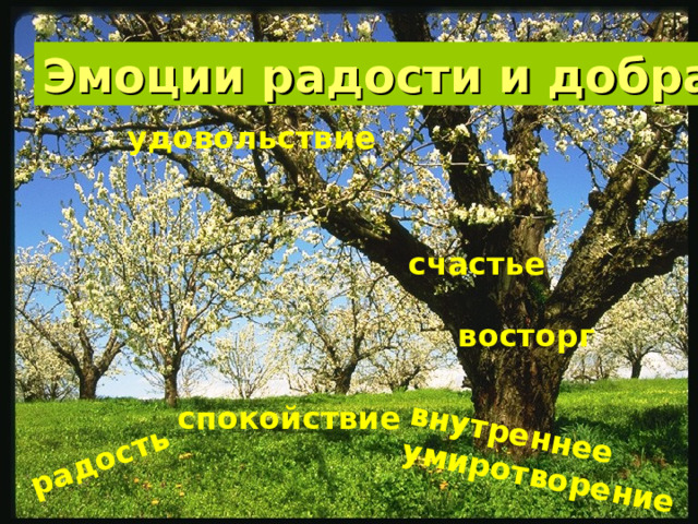 радость внутреннее умиротворение Эмоции радости и добра удовольствие счастье восторг спокойствие 