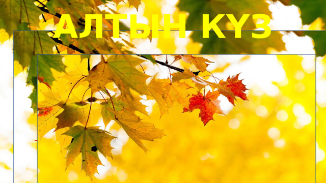 АЛТЫН КҮЗ 