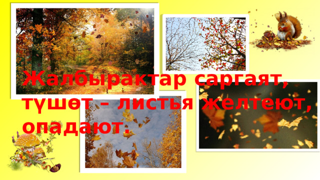 Жалбырактар саргаят, түшөт – листья желтеют, опадают. 