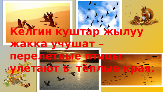 Келгин куштар жылуу жакка учушат – перелётные птицы улетают в тёплые края. 