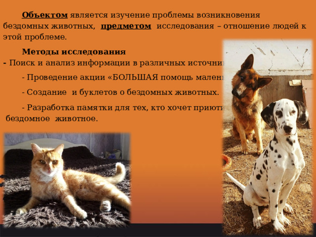 Объектом является изучение проблемы возникновения бездомных животных, предметом  исследования – отношение людей к этой проблеме. Методы исследования  - Поиск и анализ информации в различных источниках. - Проведение акции «БОЛЬШАЯ помощь маленькому другу», - Создание и буклетов о бездомных животных. - Разработка памятки для тех, кто хочет приютить  бездомное животное. 