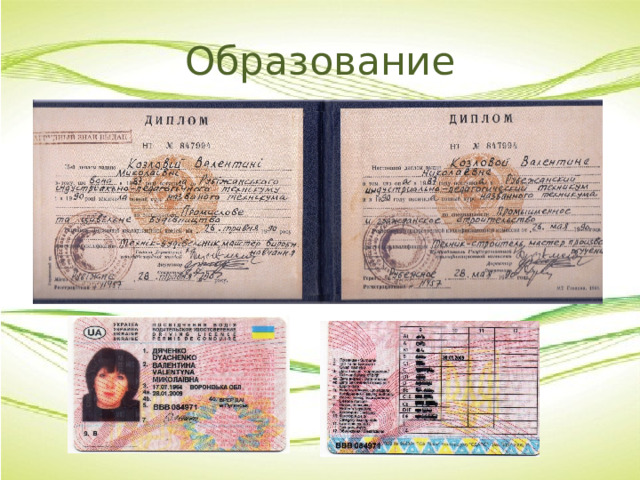 Образование 
