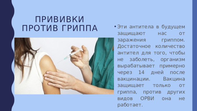 Прививки против гриппа Эти антитела в будущем защищают нас от заражения гриппом. Достаточное количество антител для того, чтобы не заболеть, организм вырабатывает примерно через 14 дней после вакцинации. Вакцина защищает только от гриппа, против других видов ОРВИ она не работает. 