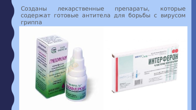 Созданы лекарственные препараты, которые содержат готовые антитела для борьбы с вирусом гриппа 