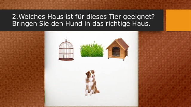 2.  Welches Haus ist für dieses Tier geeignet? Bringen Sie den Hund in das richtige Haus. 