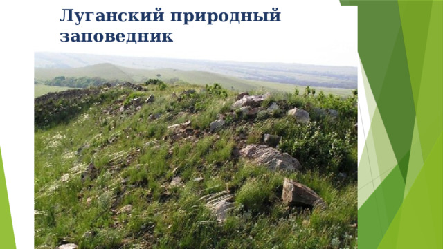 Луганский природный заповедник 