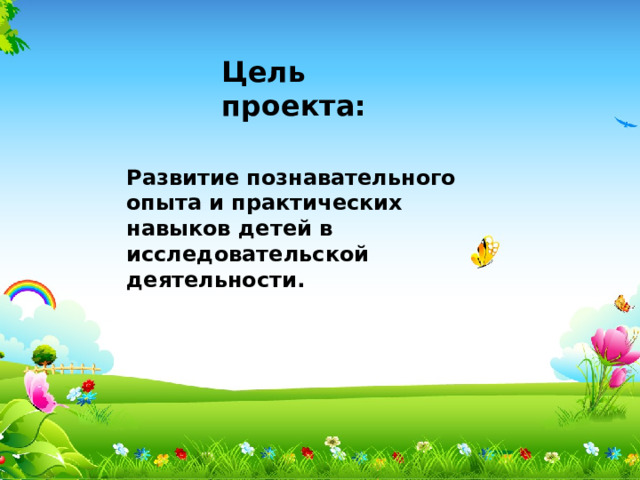 Цель проекта:   Развитие познавательного опыта и практических навыков детей в исследовательской деятельности. 