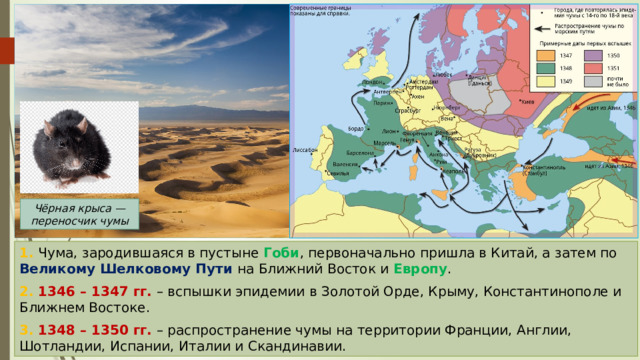 Чёрная крыса — переносчик чумы 1. Чума, зародившаяся в пустыне Гоби , первоначально пришла в Китай, а затем по Великому Шелковому Пути на Ближний Восток и Европу . 2. 1346 – 1347 гг. – вспышки эпидемии в Золотой Орде, Крыму, Константинополе и Ближнем Востоке. 3. 1348 – 1350 гг. – распространение чумы на территории Франции, Англии, Шотландии, Испании, Италии и Скандинавии. 