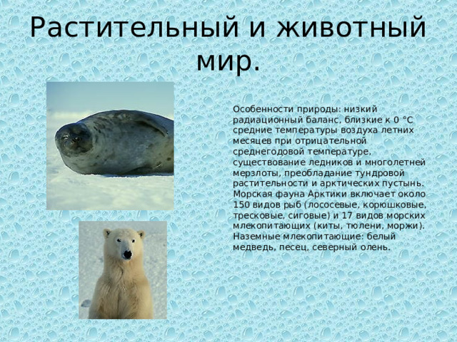 Особенности природы: низкий радиационный баланс, близкие к 0 °С средние температуры воздуха летних месяцев при отрицательной среднегодовой температуре, существование ледников и многолетней мерзлоты, преобладание тундровой растительности и арктических пустынь. Морская фауна Арктики включает около 150 видов рыб (лососевые, корюшковые, тресковые, сиговые) и 17 видов морских млекопитающих (киты, тюлени, моржи). Наземные млекопитающие: белый медведь, песец, северный олень. Растительный и животный мир. 