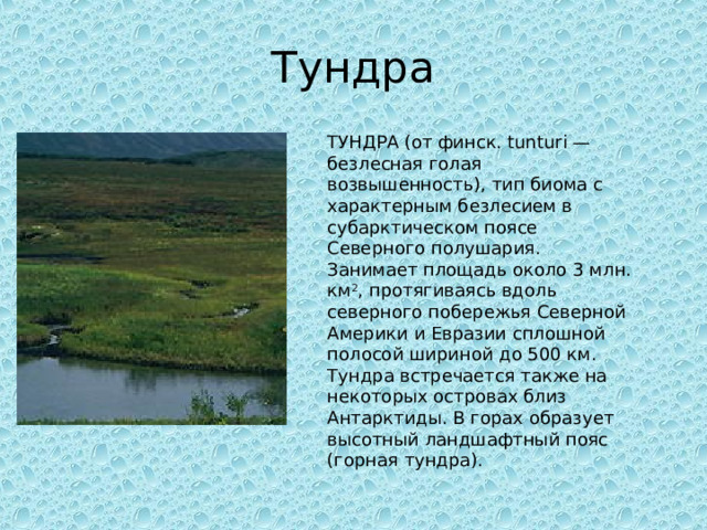 Тундра ТУНДРА (от финск. tunturi — безлесная голая возвышенность), тип биома с характерным безлесием в субарктическом поясе Северного полушария. Занимает площадь около 3 млн. км 2 , протягиваясь вдоль северного побережья Северной Америки и Евразии сплошной полосой шириной до 500 км. Тундра встречается также на некоторых островах близ Антарктиды. В горах образует высотный ландшафтный пояс (горная тундра). 