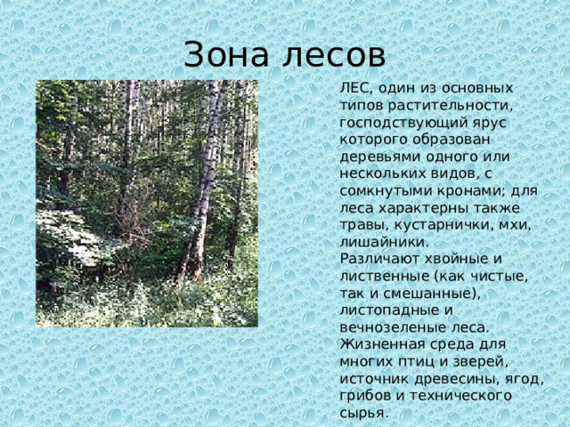 Зона лесов ЛЕС, один из основных типов растительности, господствующий ярус которого образован деревьями одного или нескольких видов, с сомкнутыми кронами; для леса характерны также травы, кустарнички, мхи, лишайники. Различают хвойные и лиственные (как чистые, так и смешанные), листопадные и вечнозеленые леса. Жизненная среда для многих птиц и зверей, источник древесины, ягод, грибов и технического сырья. 