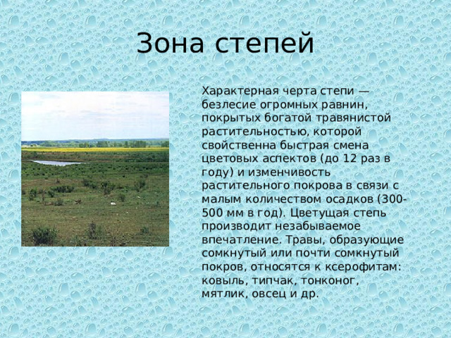 Зона степей Характерная черта степи — безлесие огромных равнин, покрытых богатой травянистой растительностью, которой свойственна быстрая смена цветовых аспектов (до 12 раз в году) и изменчивость растительного покрова в связи с малым количеством осадков (300-500 мм в год). Цветущая степь производит незабываемое впечатление. Травы, образующие сомкнутый или почти сомкнутый покров, относятся к ксерофитам: ковыль, типчак, тонконог, мятлик, овсец и др. 