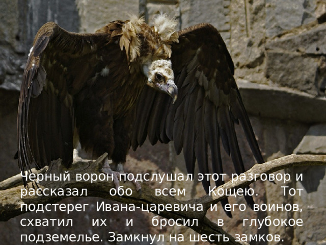Черный ворон подслушал этот разговор и рассказал обо всем Кощею. Тот подстерег Ивана-царевича и его воинов, схватил их и бросил в глубокое подземелье. Замкнул на шесть замков. 