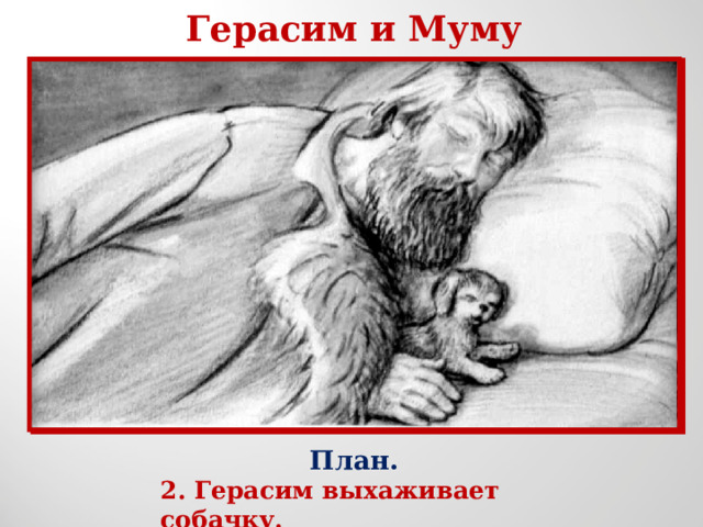Герасим и Муму План. 2. Герасим выхаживает собачку. 
