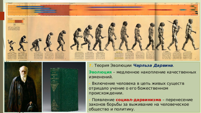 7. Теория Эволюции Чарльза Дарвина . Эволюция – медленное накопление качественных изменений. - Включение человека в цепь живых существ отрицало учение о его божественном происхождении. - Появление социал-дарвинизма – перенесение законов борьбы за выживание на человеческое общество и политику. 
