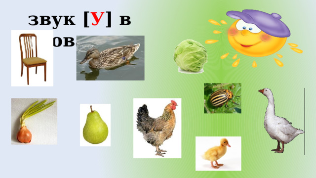 звук [ У ] в словах 