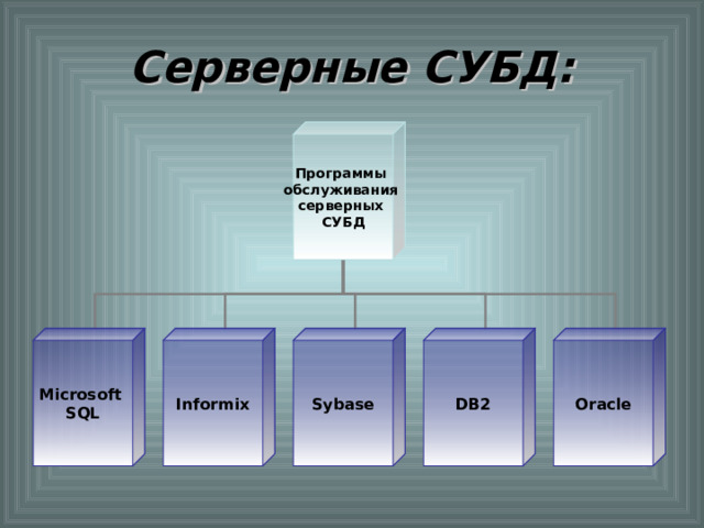 Серверные СУБД: Программы обслуживания серверных СУБД Microsoft SQL Informix Sybase DB2 Oracle 