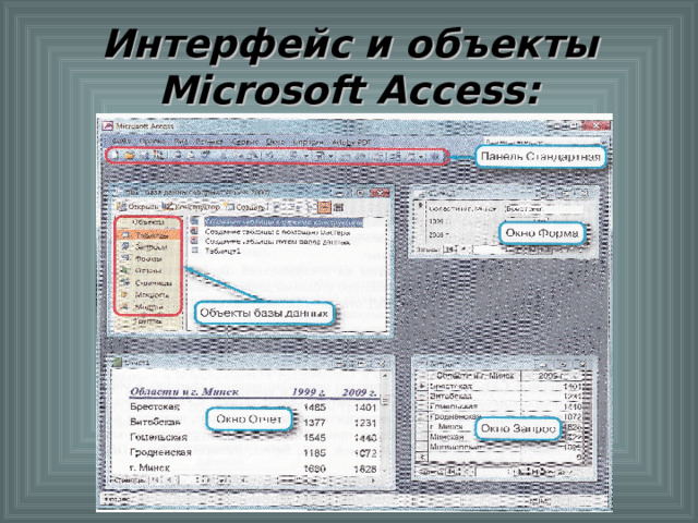 Интерфейс и объекты Microsoft Access : 