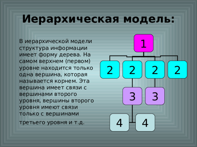 Иерархическая модель: 1  В иерархической модели структура информации имеет форму дерева. На самом верхнем (первом) уровне находится только одна вершина, которая называется корнем. Эта вершина имеет связи с вершинами второго уровня, вершины второго уровня имеют связи только с вершинами третьего уровня и т.д.  2 2 2 2 3 3 4 4 
