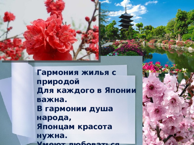Гармония жилья с природой Для каждого в Японии важна. В гармонии душа народа, Японцам красота нужна. Умеют любоваться красотою, Прекрасное увидеть там и тут. Для этого и жить на свете стоит, От этого и сакуры цветут. 