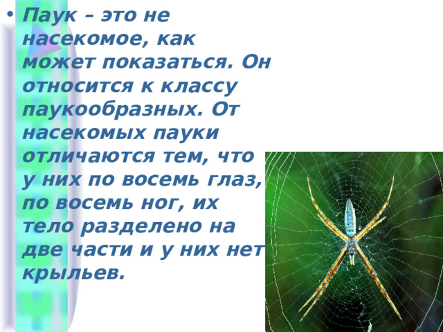 Паук – это не насекомое, как может показаться. Он относится к классу паукообразных. От насекомых пауки отличаются тем, что у них по восемь глаз, по восемь ног, их тело разделено на две части и у них нет крыльев. 