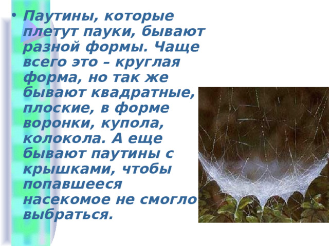 Паутины, которые плетут пауки, бывают разной формы. Чаще всего это – круглая форма, но так же бывают квадратные, плоские, в форме воронки, купола, колокола. А еще бывают паутины с крышками, чтобы попавшееся насекомое не смогло выбраться. 