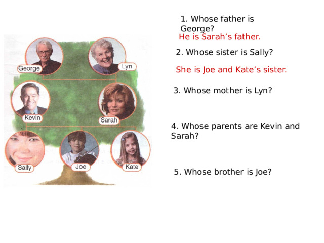 1. Whose father is George? He is Sarah’s father. 2. Whose sister is Sally? She is Joe and Kate’s sister. 3. Whose mother is Lyn? 4. Whose parents are Kevin and Sarah? 5. Whose brother is Joe? 
