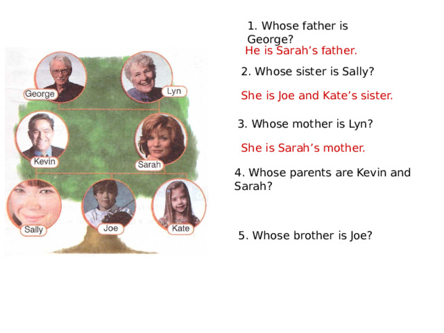 1. Whose father is George? He is Sarah’s father. 2. Whose sister is Sally? She is Joe and Kate’s sister. 3. Whose mother is Lyn? She is Sarah’s mother. 4. Whose parents are Kevin and Sarah? 5. Whose brother is Joe? 