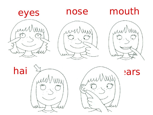 nose mouth eyes hair ears 