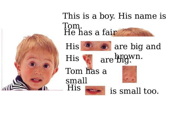 This is a boy. His name is Tom. He has a fair His are big and brown . His   are big. Tom has a small His  is small too. 