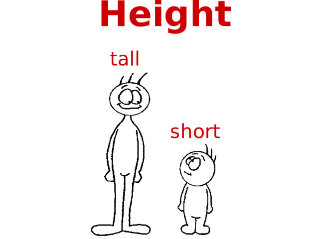 Height tall short 