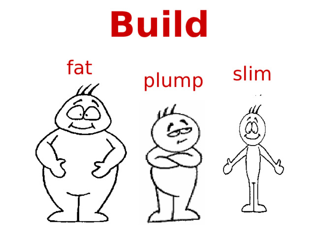 Build fat slim plump 