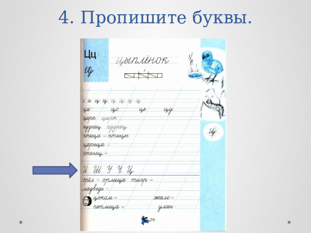 4. Пропишите буквы. 