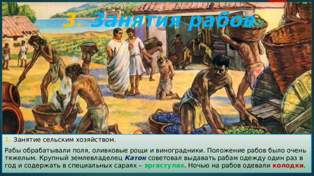 3. Занятия рабов 1. Занятие сельским хозяйством. Рабы обрабатывали поля, оливковые рощи и виноградники. Положение рабов было очень тяжелым. Крупный землевладелец Катон советовал выдавать рабам одежду один раз в год и содержать в специальных сараях – эргастулах . Ночью на рабов одевали колодки . 