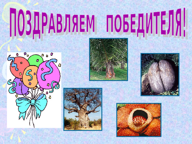 Назовите самое высокое травянистое растение. Его высота – тридцать, а то и сорок метров. Порой растение за сутки может вырасти на целый метр. 
