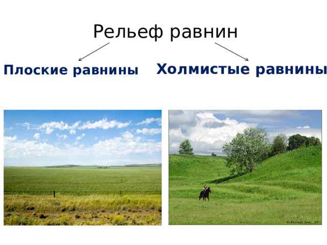 Рельеф равнин Плоские равнины Холмистые равнины 