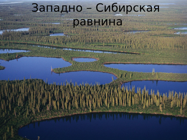 Западно – Сибирская равнина 