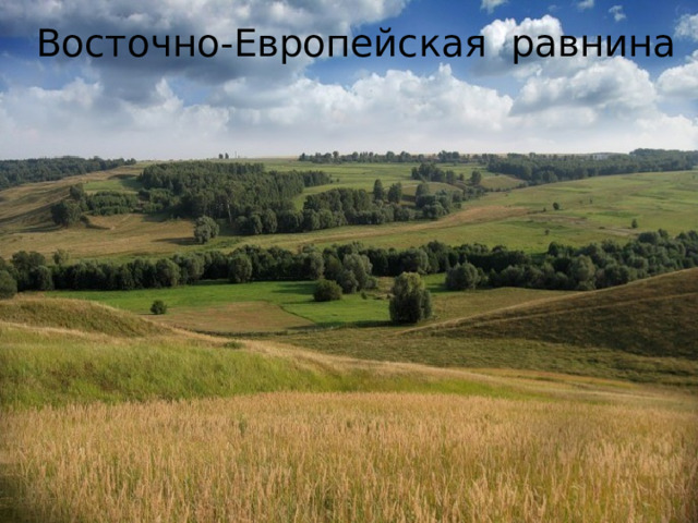 Восточно-Европейская равнина 