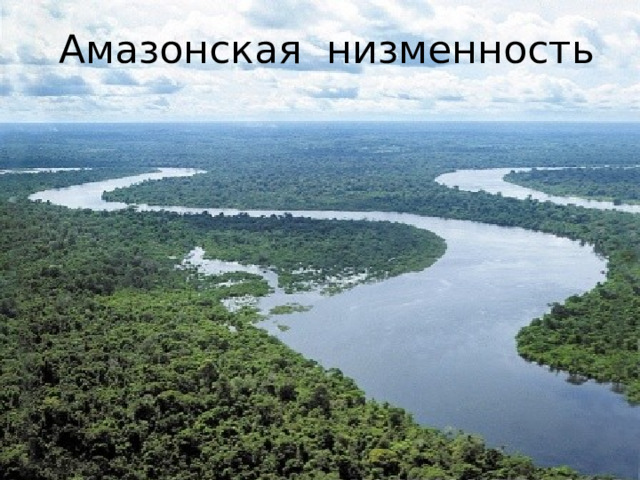 Амазонская низменность 