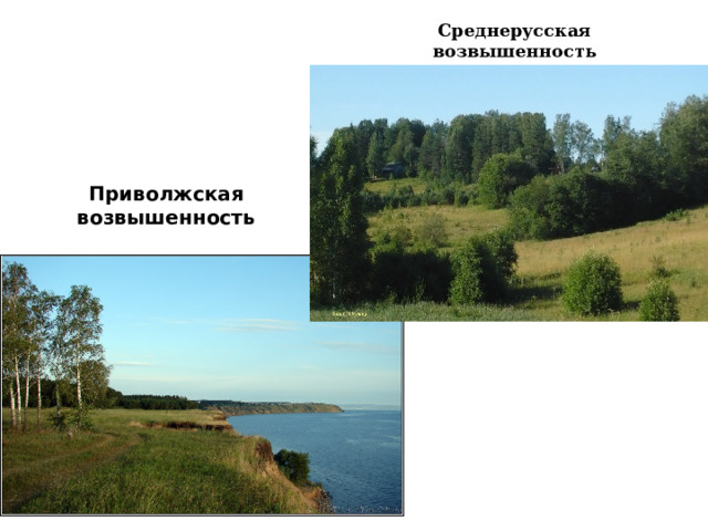 Среднерусская возвышенность Приволжская возвышенность 