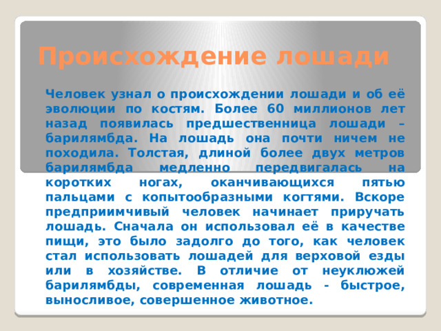 Происхождение лошади   Человек узнал о происхождении лошади и об её эволюции по костям. Более 60 миллионов лет назад появилась предшественница лошади –барилямбда. На лошадь она почти ничем не походила. Толстая, длиной более двух метров барилямбда медленно передвигалась на коротких ногах, оканчивающихся пятью пальцами с копытообразными когтями. Вскоре предприимчивый человек начинает приручать лошадь. Сначала он использовал её в качестве пищи, это было задолго до того, как человек стал использовать лошадей для верховой езды или в хозяйстве. В отличие от неуклюжей барилямбды, современная лошадь - быстрое, выносливое, совершенное животное. 