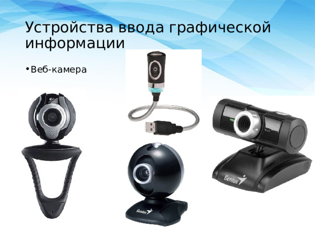 Устройства ввода графической информации Веб-камера 