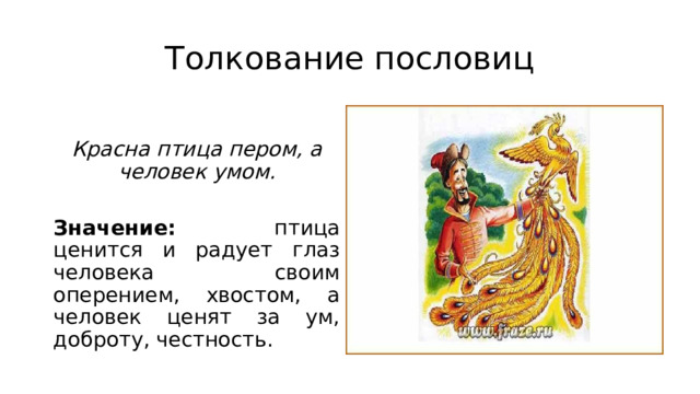 Толкование пословиц  Красна птица пером, а человек умом. Значение: птица ценится и радует глаз человека своим оперением, хвостом, а человек ценят за ум, доброту, честность. 