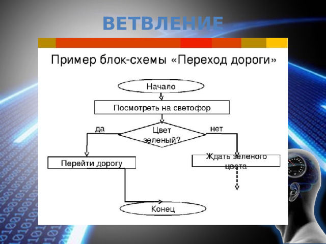 Ветвление 