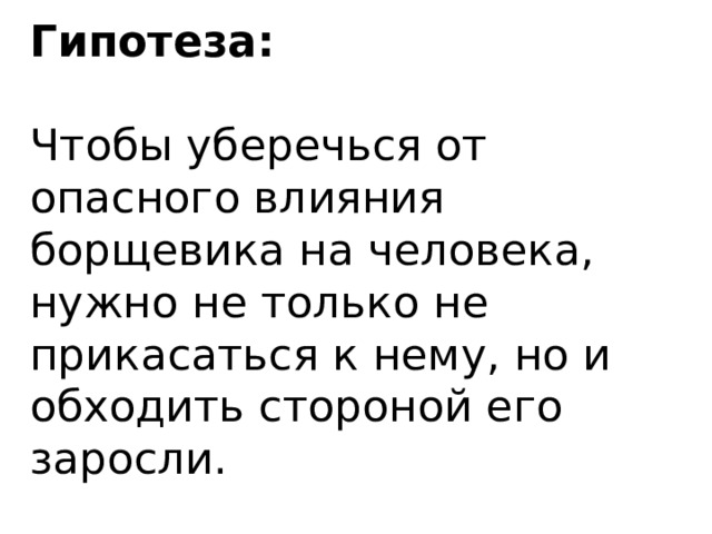 Гипотеза:   Чтобы уберечься от опасного влияния борщевика на человека, нужно не только не прикасаться к нему, но и обходить стороной его заросли. 