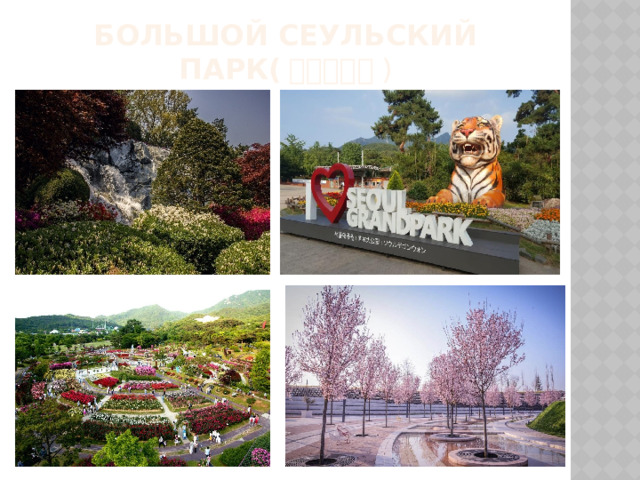 Большой сеульский парк( 서울대공원 ) 