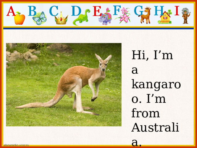 Hi, I’m a kangaroo. I’m from Australia. 